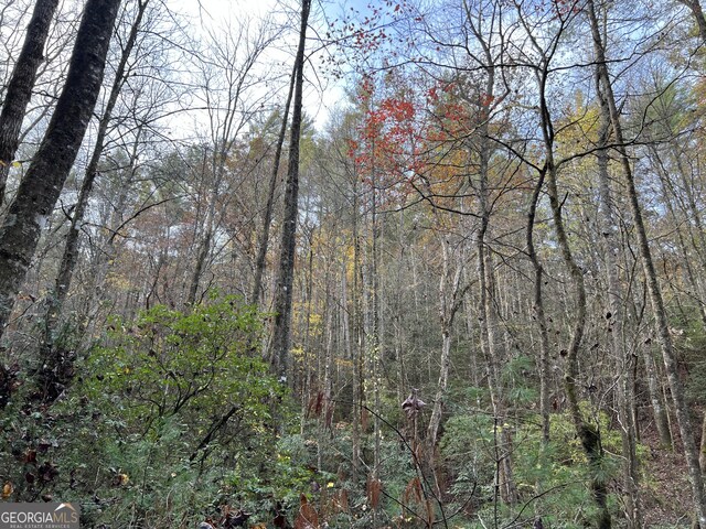 0 Zion Hill Rd, Ellijay, GA 30540