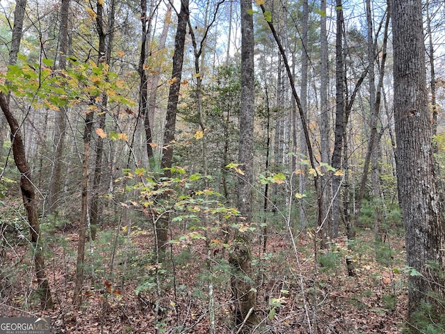 0 Zion Hill Rd, Ellijay, GA 30540