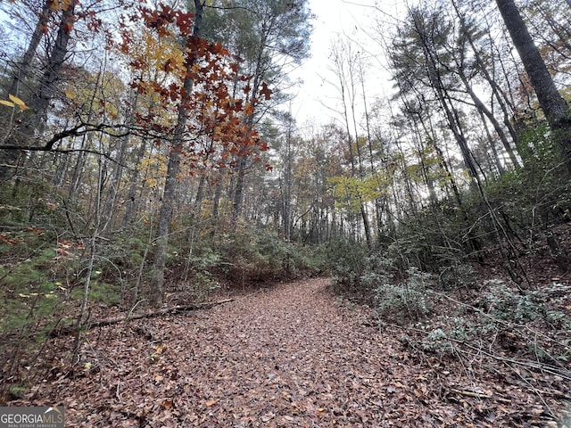 0 Zion Hill Rd, Ellijay, GA 30540