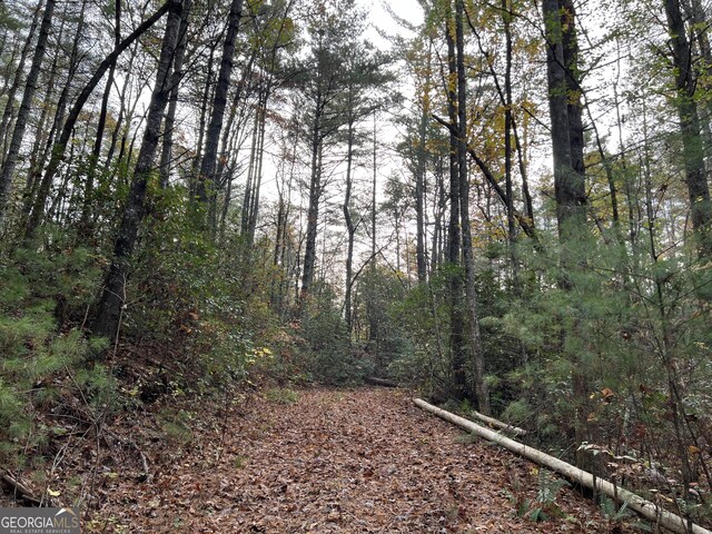 0 Zion Hill Rd, Ellijay, GA 30540