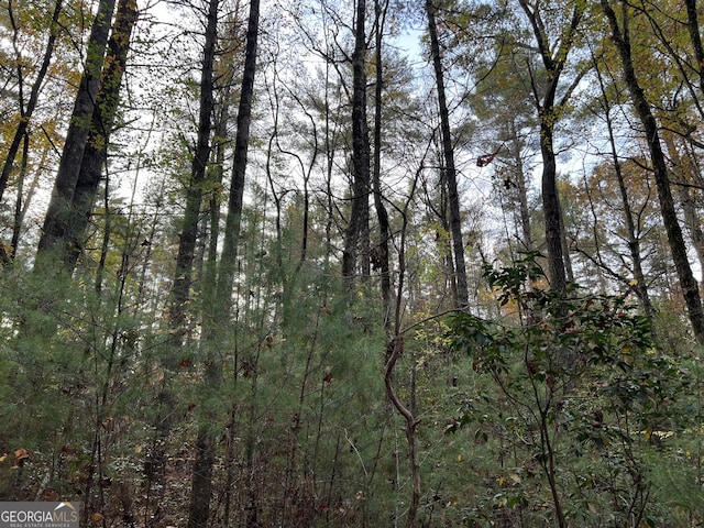 0 Zion Hill Rd, Ellijay, GA 30540