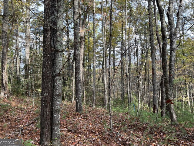0 Zion Hill Rd, Ellijay, GA 30540