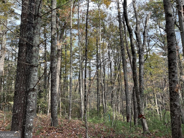 0 Zion Hill Rd, Ellijay, GA 30540