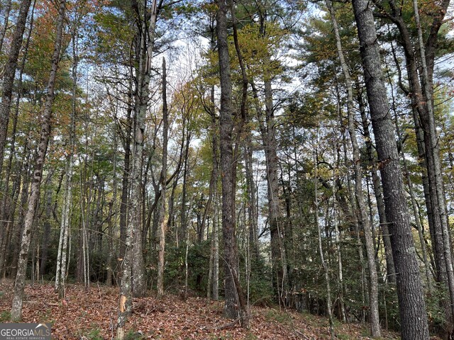 0 Zion Hill Rd, Ellijay, GA 30540