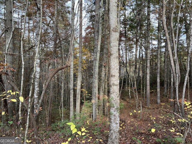 0 Zion Hill Rd, Ellijay, GA 30540