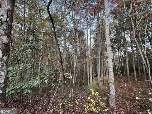 0 Zion Hill Rd, Ellijay, GA 30540