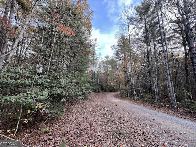 0 Zion Hill Rd, Ellijay, GA 30540