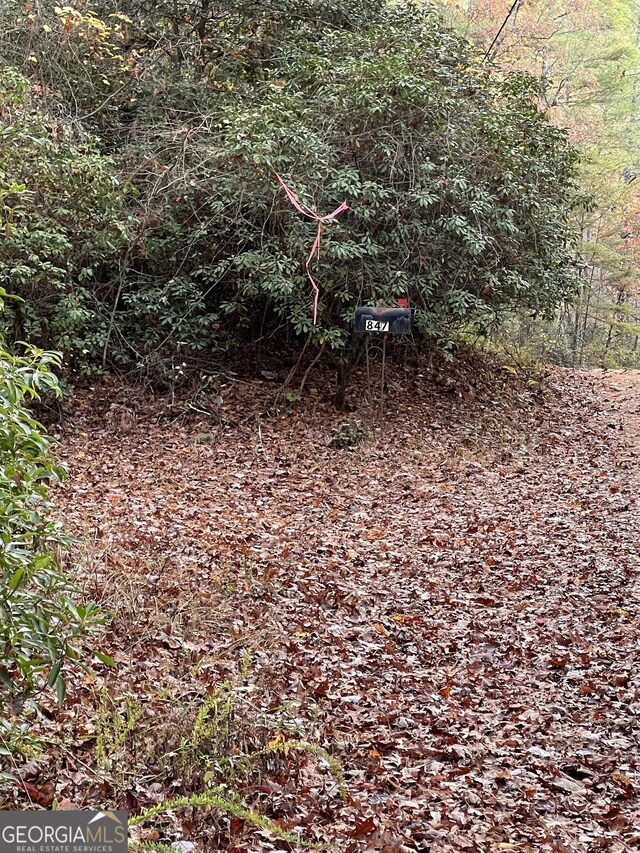 0 Zion Hill Rd, Ellijay, GA 30540
