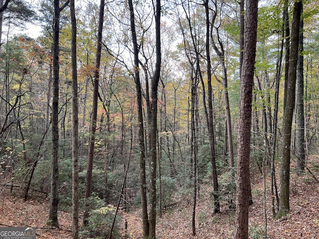 0 Zion Hill Rd, Ellijay, GA 30540