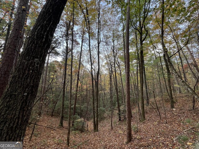 0 Zion Hill Rd, Ellijay, GA 30540