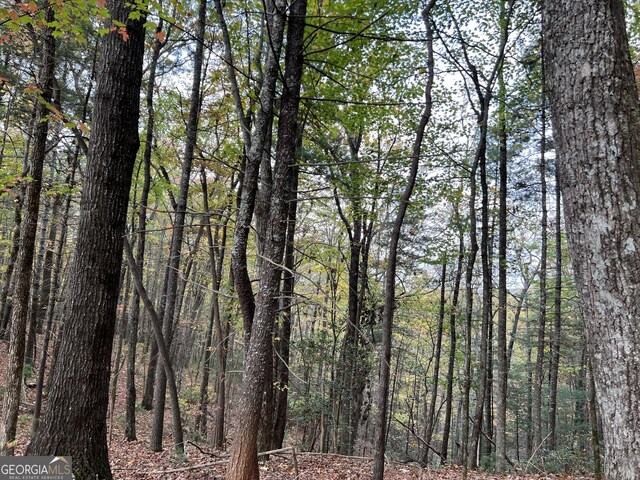 0 Zion Hill Rd, Ellijay, GA 30540