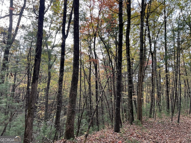 0 Zion Hill Rd, Ellijay, GA 30540