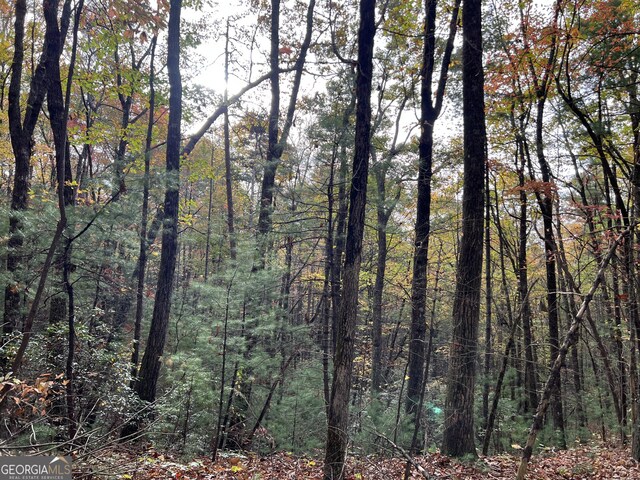0 Zion Hill Rd, Ellijay, GA 30540