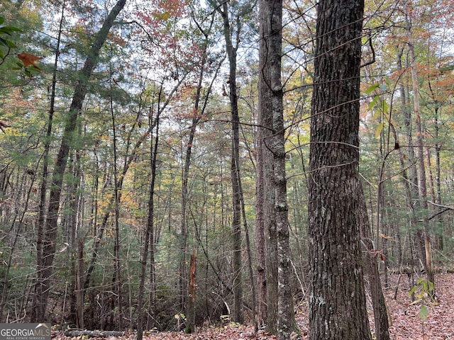0 Zion Hill Rd, Ellijay, GA 30540
