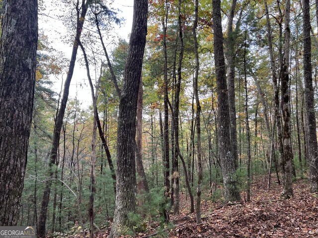 0 Zion Hill Rd, Ellijay, GA 30540