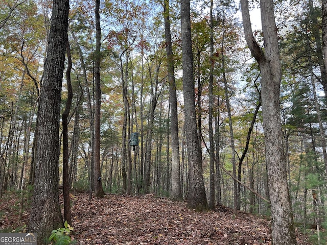 0 Zion Hill Rd, Ellijay, GA 30540