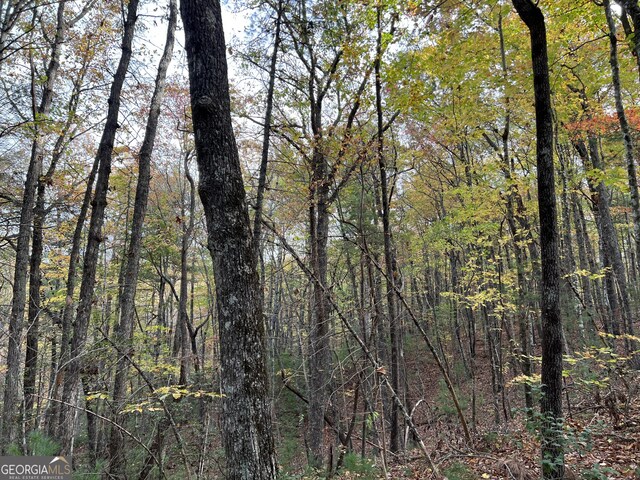0 Zion Hill Rd, Ellijay, GA 30540