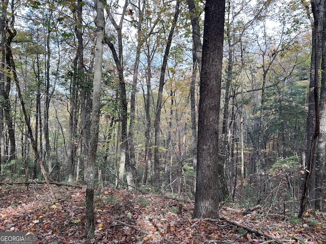 0 Zion Hill Rd, Ellijay, GA 30540