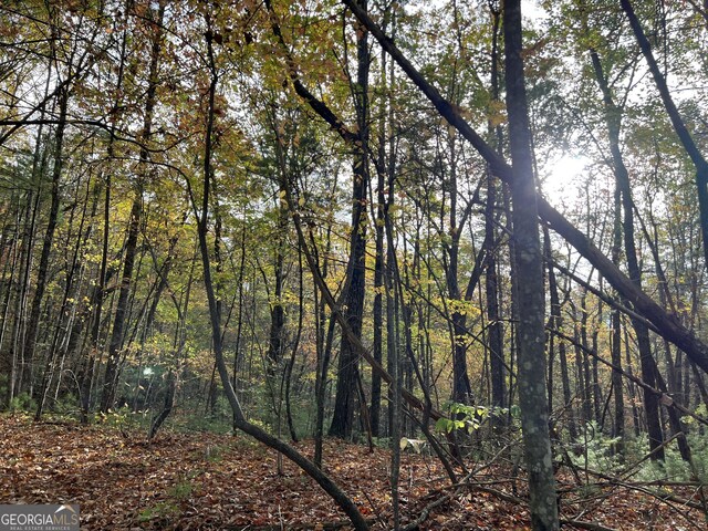 0 Zion Hill Rd, Ellijay, GA 30540