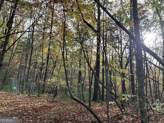 0 Zion Hill Rd, Ellijay, GA 30540