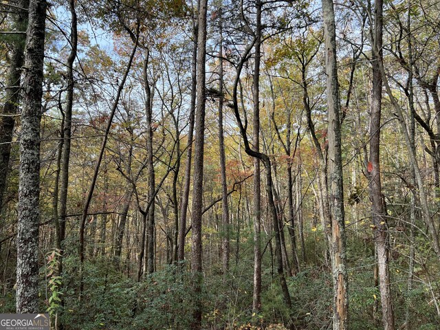 0 Zion Hill Rd, Ellijay, GA 30540