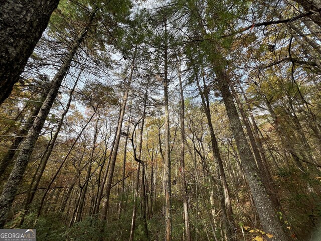 0 Zion Hill Rd, Ellijay, GA 30540