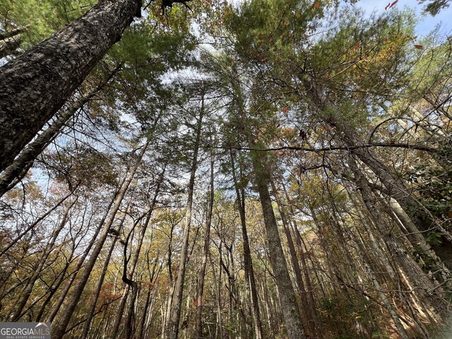 0 Zion Hill Rd, Ellijay, GA 30540