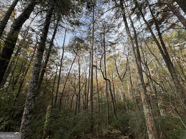 0 Zion Hill Rd, Ellijay, GA 30540