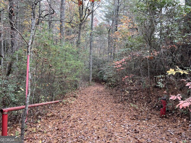0 Zion Hill Rd, Ellijay, GA 30540