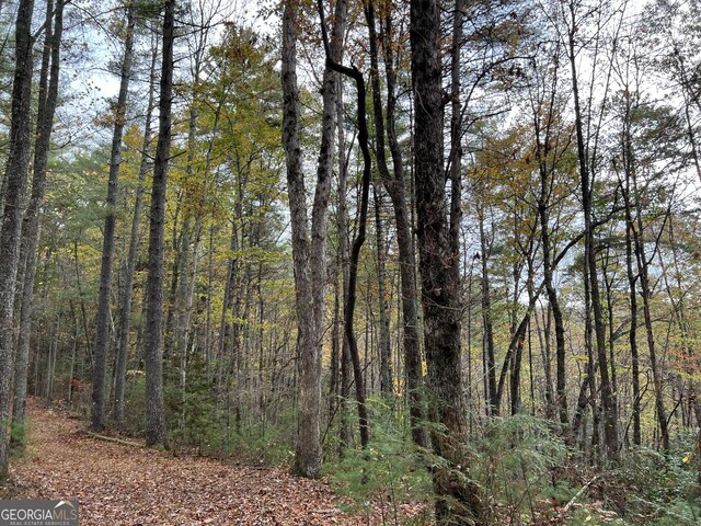 0 Zion Hill Rd, Ellijay, GA 30540