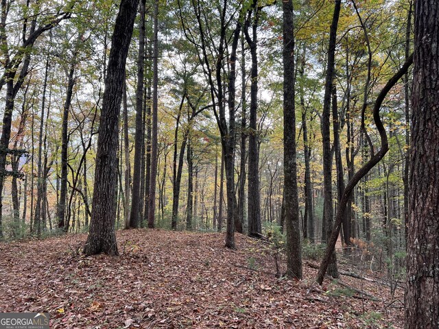 0 Zion Hill Rd, Ellijay, GA 30540