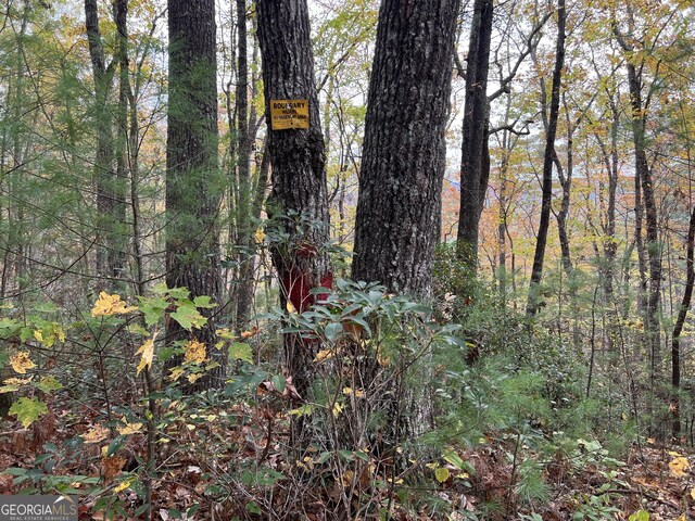 0 Zion Hill Rd, Ellijay, GA 30540