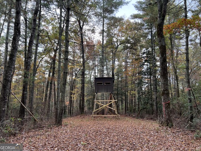 0 Zion Hill Rd, Ellijay, GA 30540