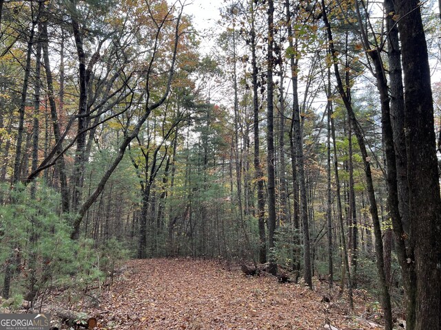 0 Zion Hill Rd, Ellijay, GA 30540