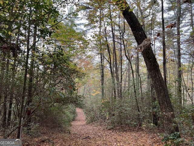 0 Zion Hill Rd, Ellijay, GA 30540