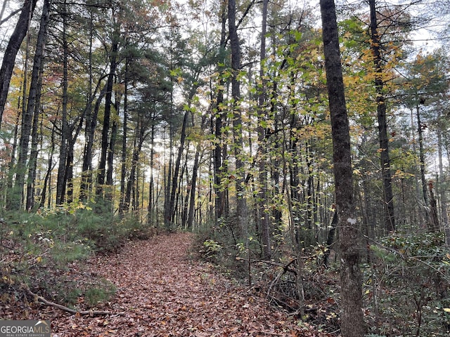 0 Zion Hill Rd, Ellijay, GA 30540