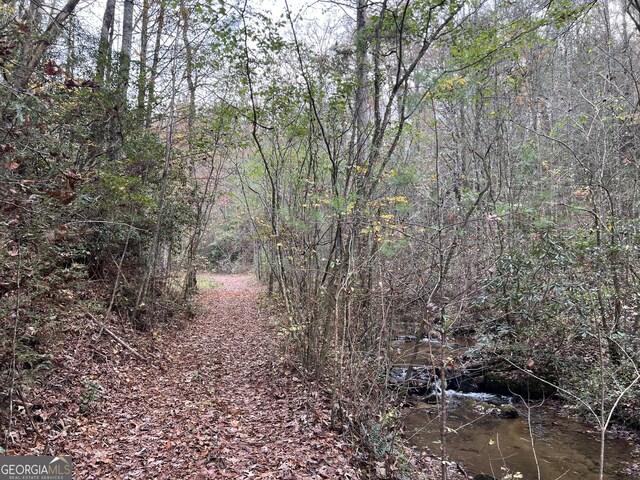 0 Zion Hill Rd, Ellijay, GA 30540