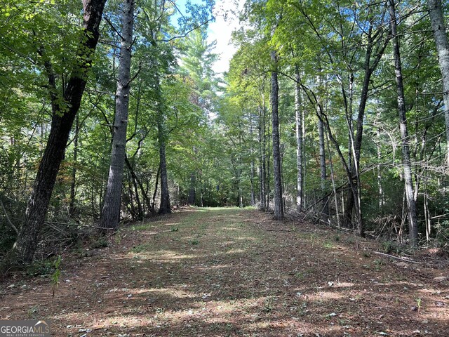 0 Zion Hill Rd, Ellijay, GA 30540