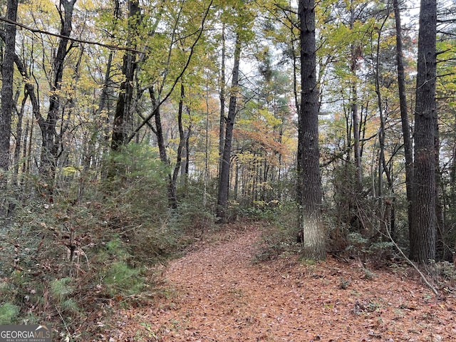 0 Zion Hill Rd, Ellijay, GA 30540