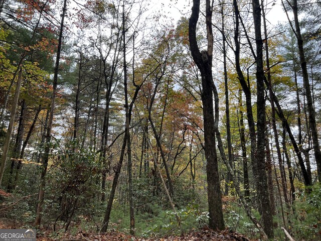 0 Zion Hill Rd, Ellijay, GA 30540