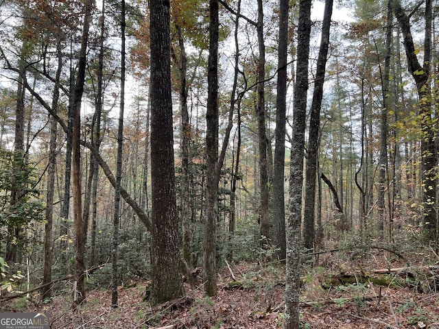 0 Zion Hill Rd, Ellijay, GA 30540