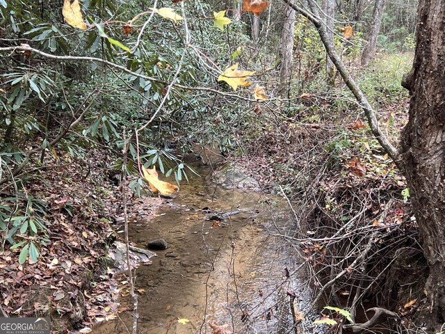 0 Zion Hill Rd, Ellijay, GA 30540