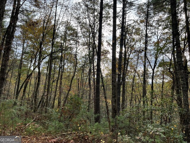 0 Zion Hill Rd, Ellijay, GA 30540