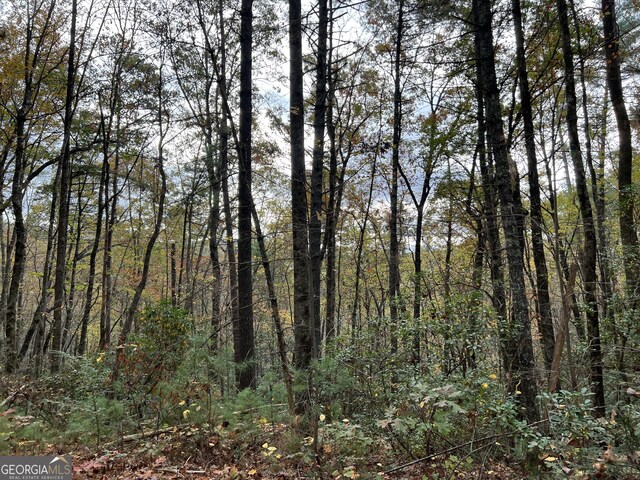 0 Zion Hill Rd, Ellijay, GA 30540