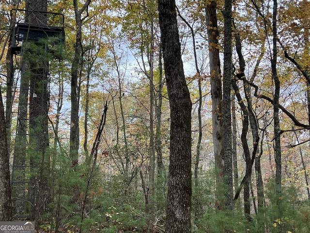 0 Zion Hill Rd, Ellijay, GA 30540
