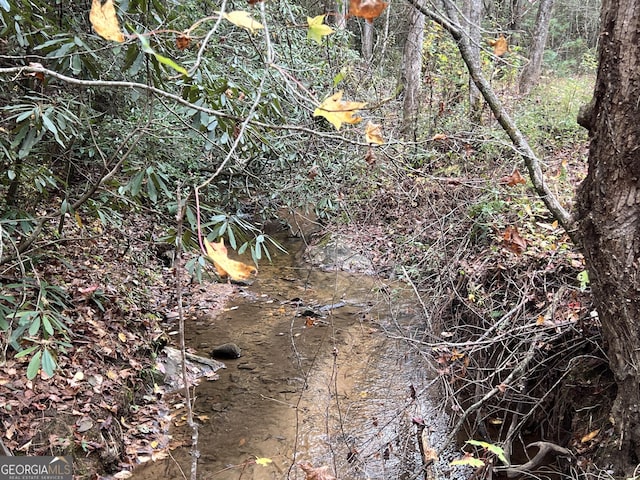 0 Zion Hill Rd, Ellijay, GA 30540