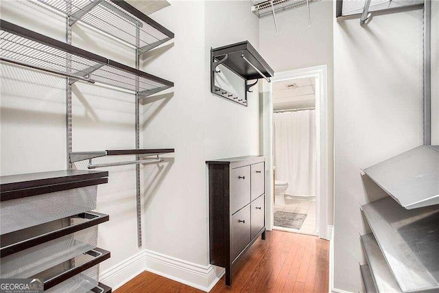 spacious closet featuring dark hardwood / wood-style flooring