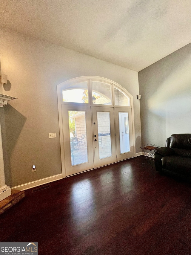 foyer entrance featuring dark wood-type flooring