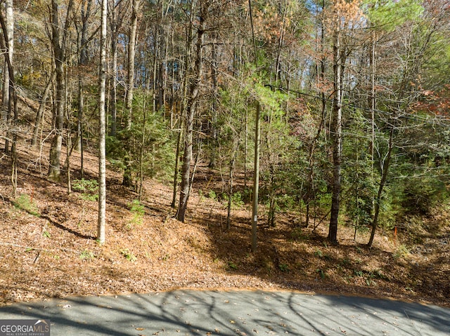 Listing photo 2 for 0 Lookiba Lot 7, Ellijay GA 30540