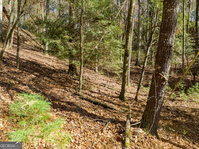 Listing photo 3 for 0 Lookiba Lot 7, Ellijay GA 30540